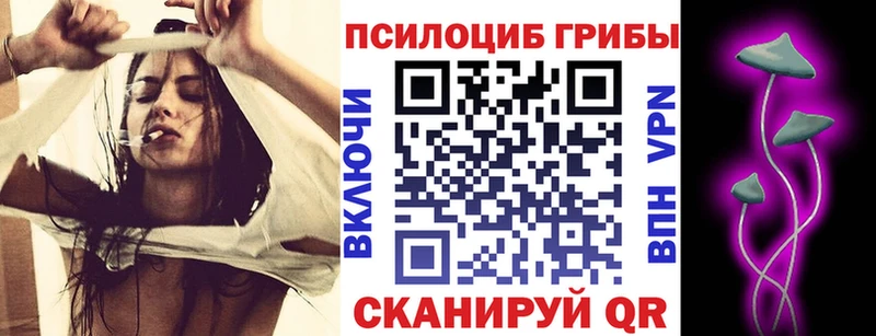 Псилоцибиновые грибы ЛСД  гидра ССЫЛКА  Орехово-Зуево 